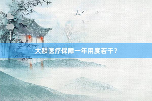大额医疗保障一年用度若干？
